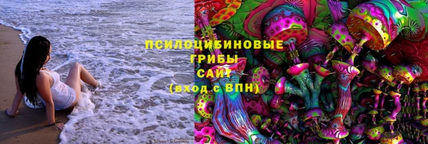 МДПВ Алзамай