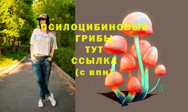 МДПВ Алзамай