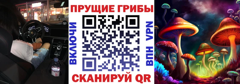 Псилоцибиновые грибы Psilocybe  купить наркотики цена  Копейск 