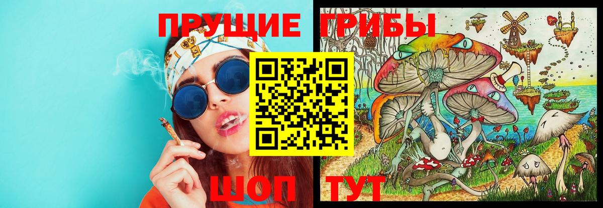 Псилоцибиновые грибы Psilocybine cubensis Копейск