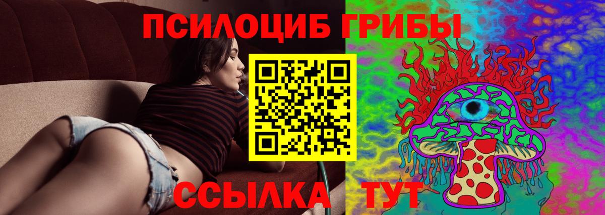 Галлюциногенные грибы мицелий  Вход с VPN  Копейск 